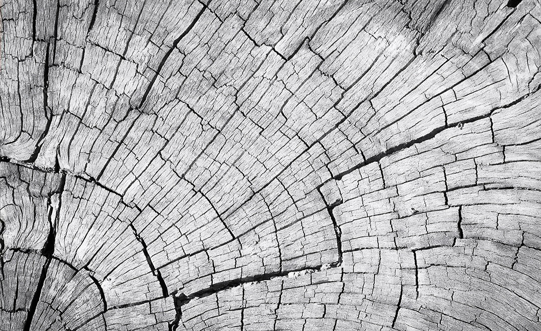 GFK_City_Segment_DSC_8640